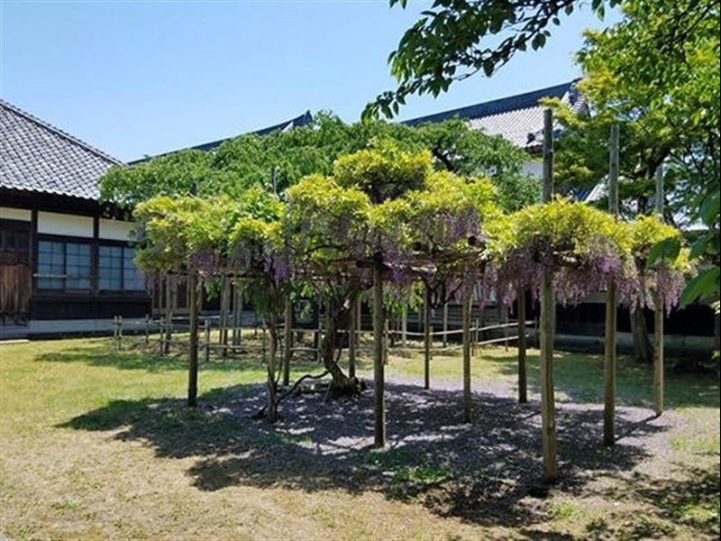 宝光寺墓苑