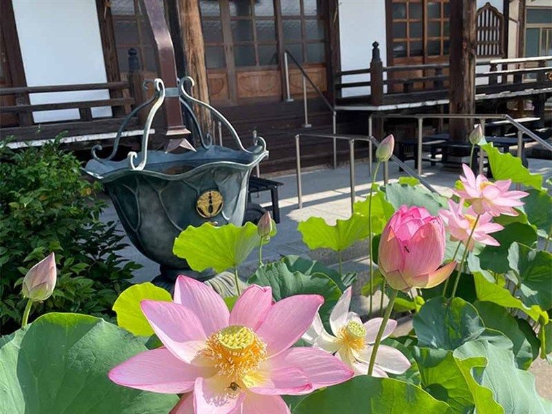宝国寺