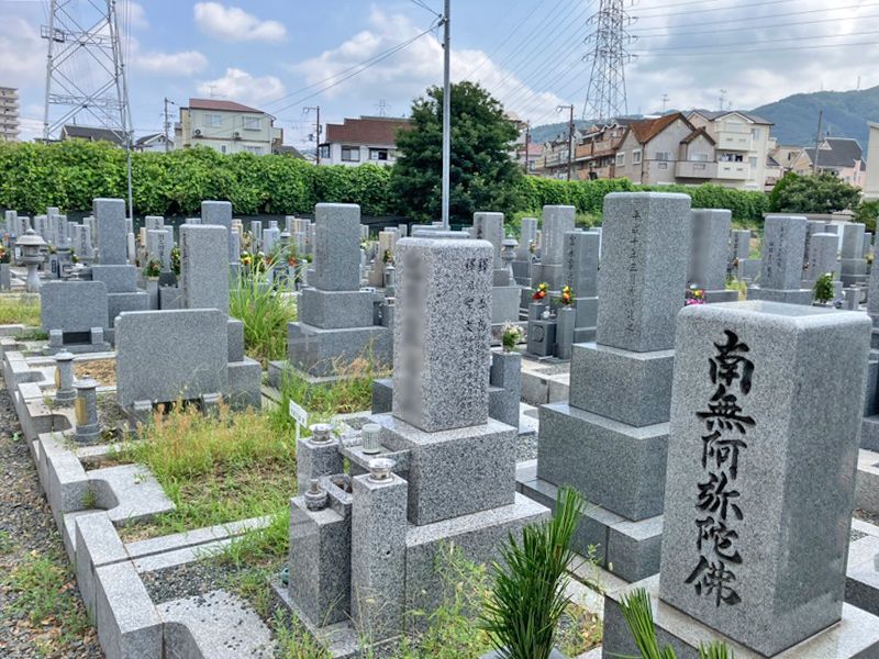 植附・芝墓地