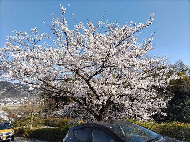 朝日山浄苑