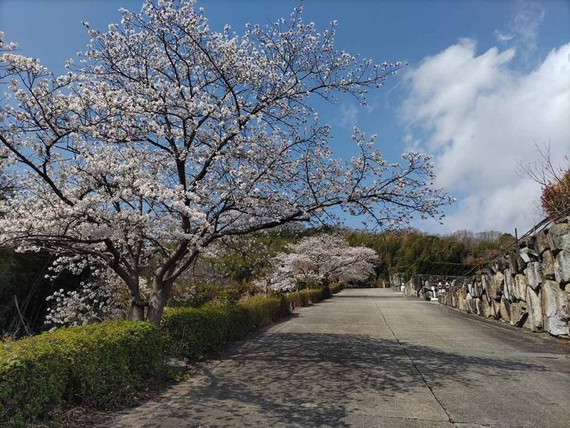 朝日山浄苑