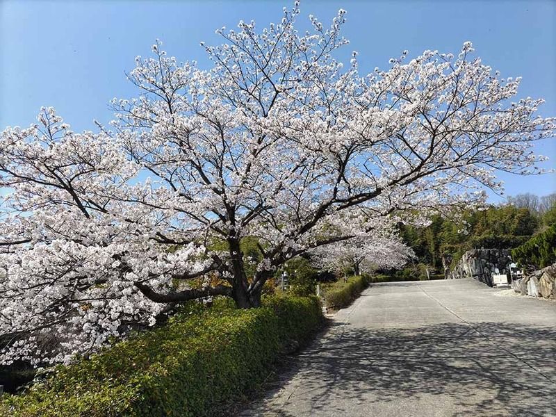 朝日山浄苑