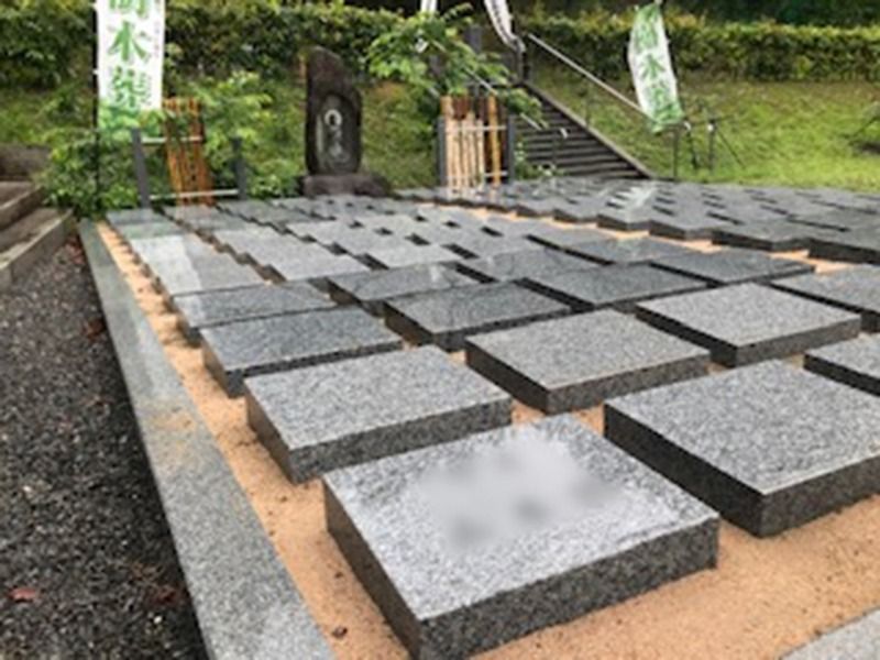 区画写真