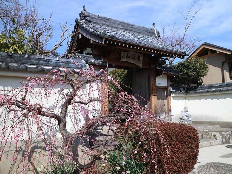 太春寺 永代供養納骨塔「天照苑」