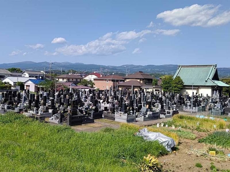 墓地全景