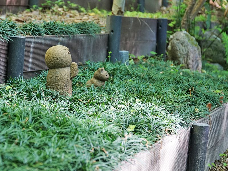北白川 圓光寺 もみじの山樹木葬