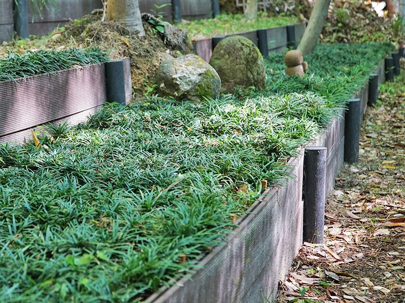 北白川 圓光寺 もみじの山樹木葬