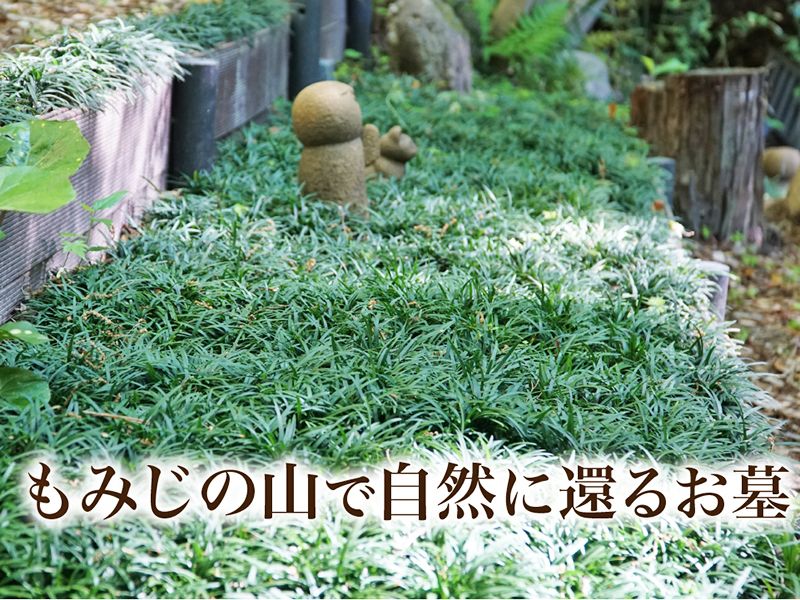 北白川 圓光寺 もみじの山樹木葬・納骨堂
