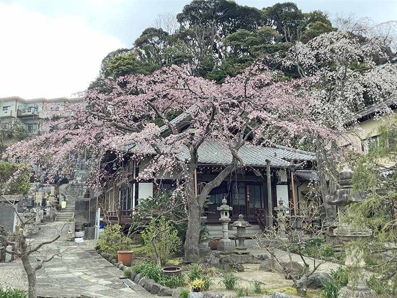 泉福寺墓苑