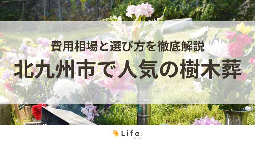 【解説付き】北九州市で人気の樹木葬ランキング!費用相場と選び方を徹底解説