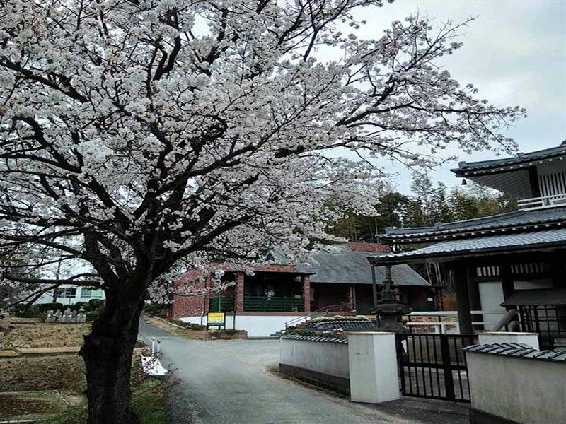 正源寺 樹木葬墓地