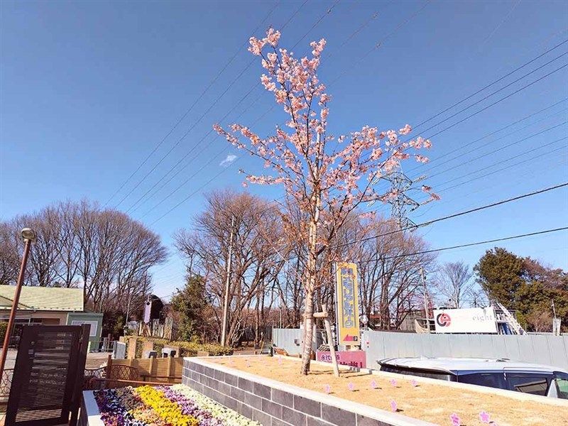 新所沢メモリアルパーク 樹木葬・合葬墓