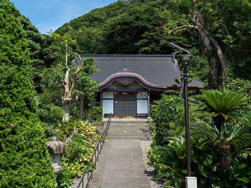 緑豊かな境内