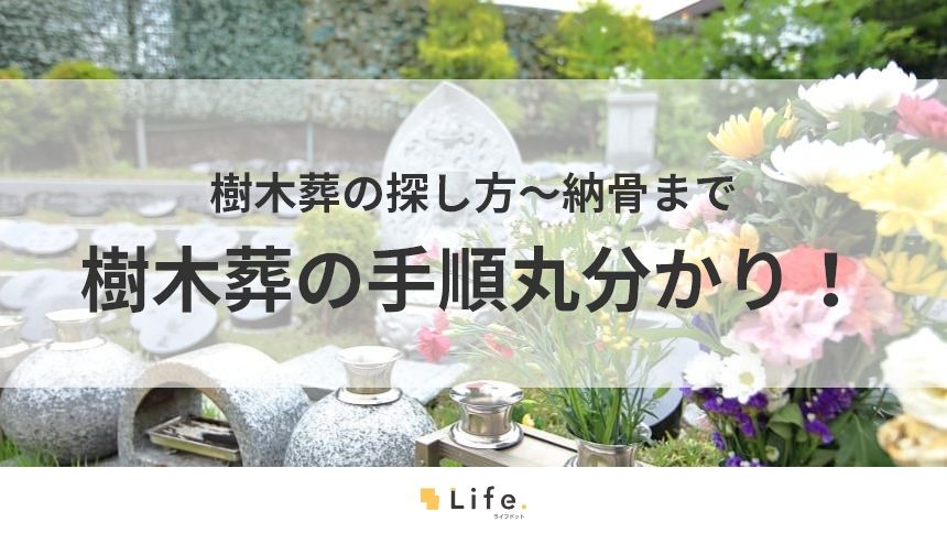 【樹木葬 手順】アイキャッチ画像