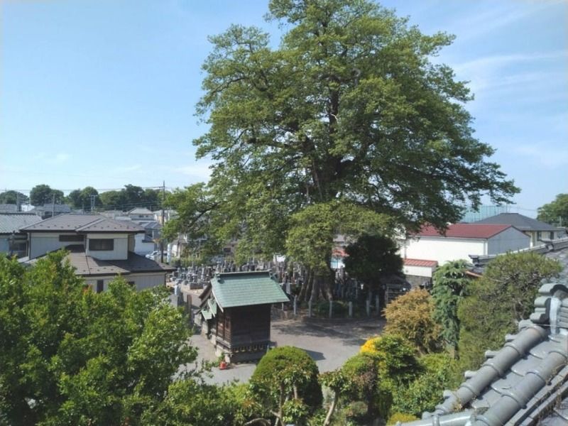 蓮花院　永代供養・樹木葬