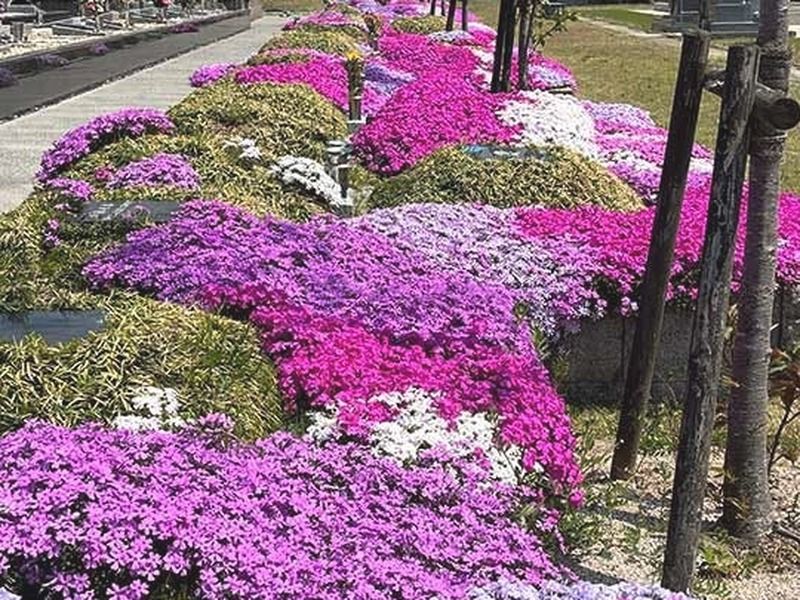 東広島 樹木霊園