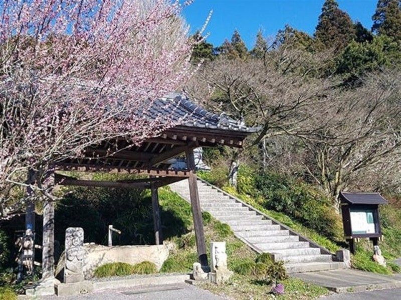 春の境内