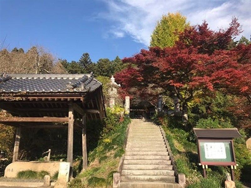 秋の境内