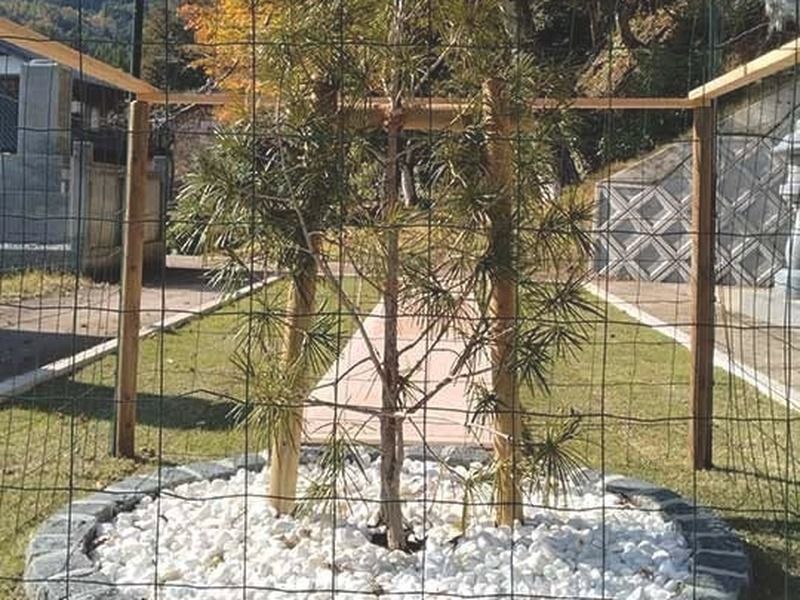 禅定寺納骨堂・樹木葬