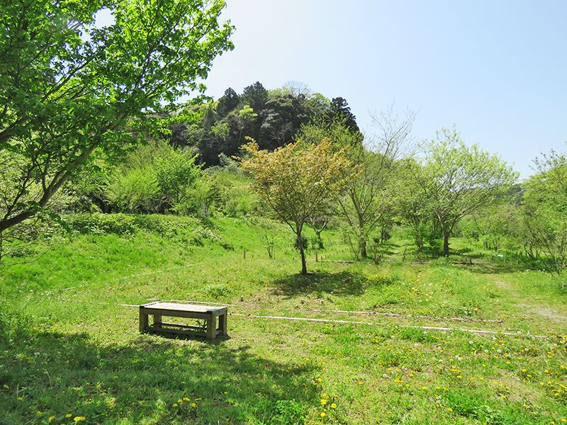森の墓苑 大草原の中にあるベンチ