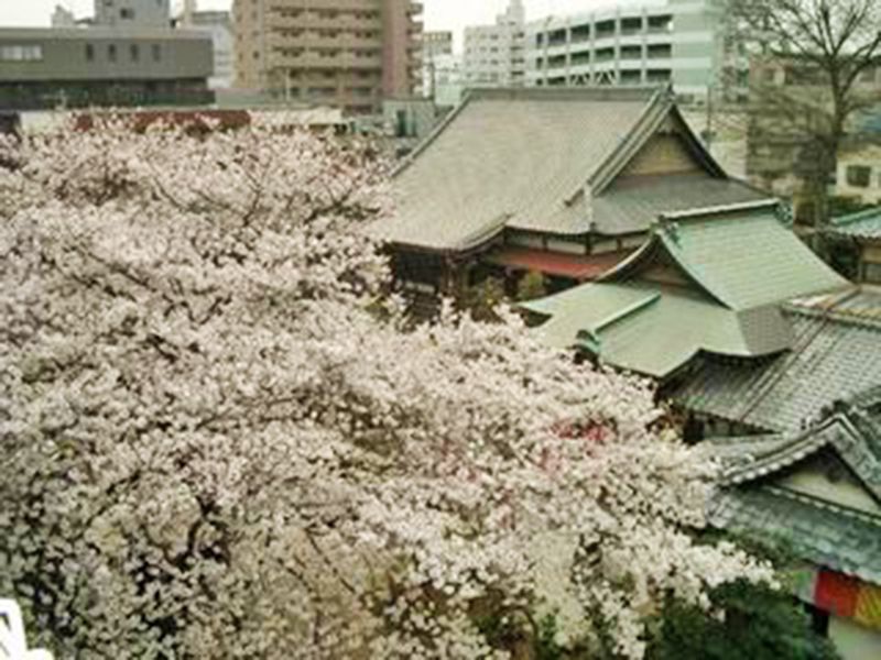 西雲寺