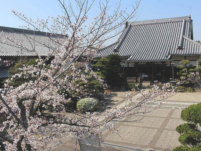 和歌山市城下町「寿光苑」