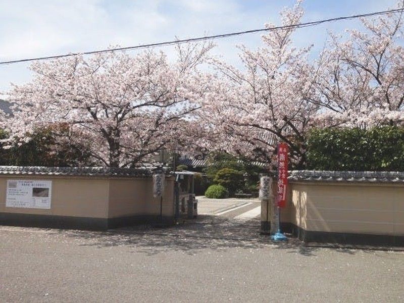 延壽院墓地（延寿院）