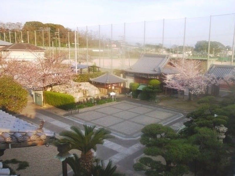 延壽院墓地（延寿院）