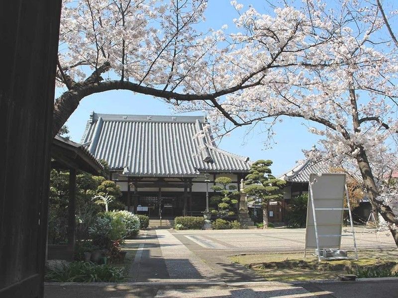 和歌山市城下町「寿光苑」
