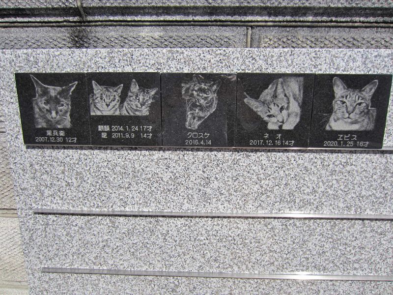 善遠寺境内墓地