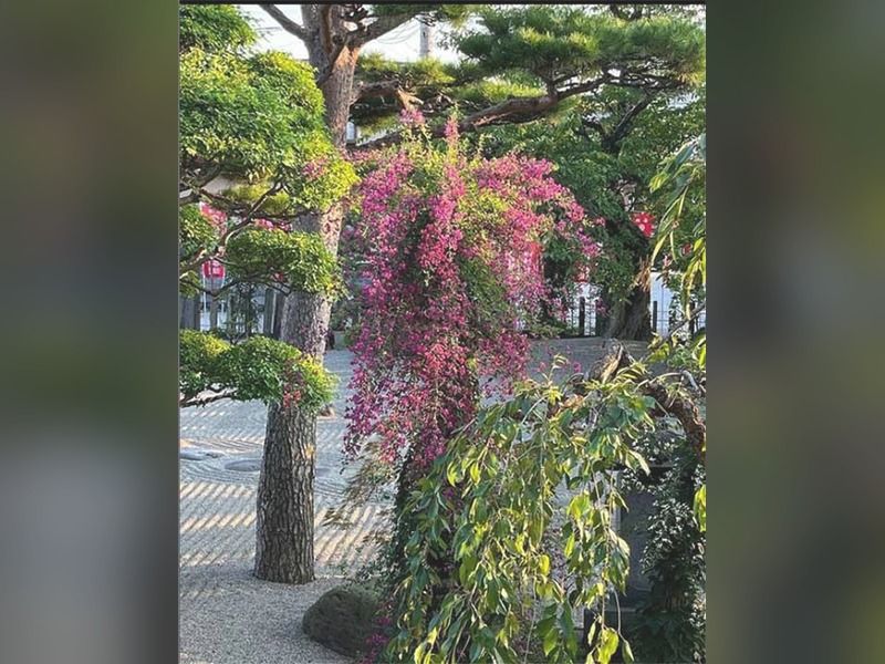 山形永代供養墓園 長岡観音