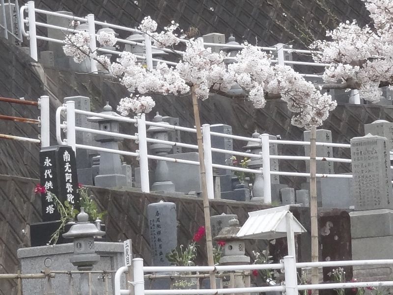 西法寺 永代供養塔