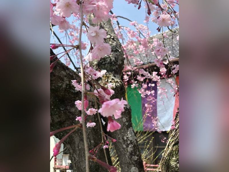 メモリーガーデン彩の杜霊園 永代供養墓・自然葬墓