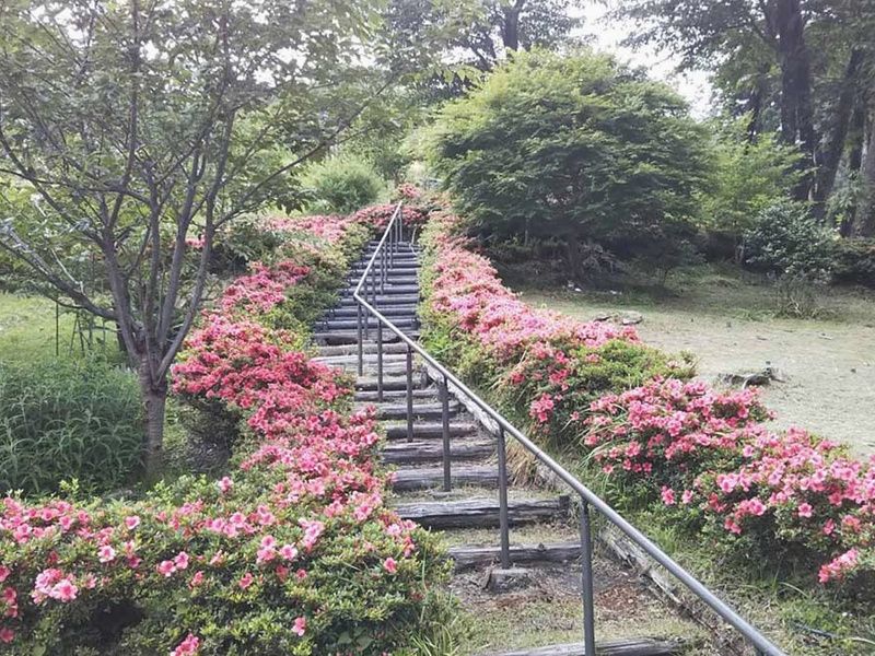 千の風みらい園