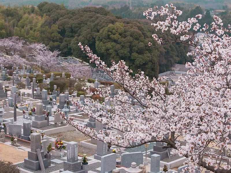 春の園内の様子