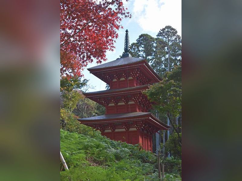 高蔵寺 個別型樹木葬墓