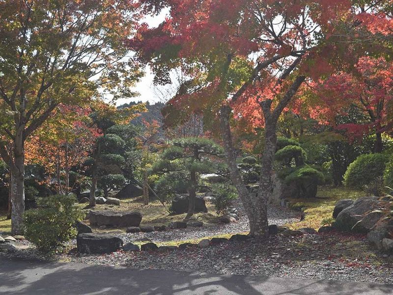高蔵寺 個別型樹木葬墓