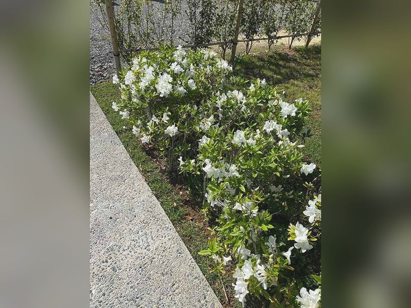 高蔵寺 個別型樹木葬墓