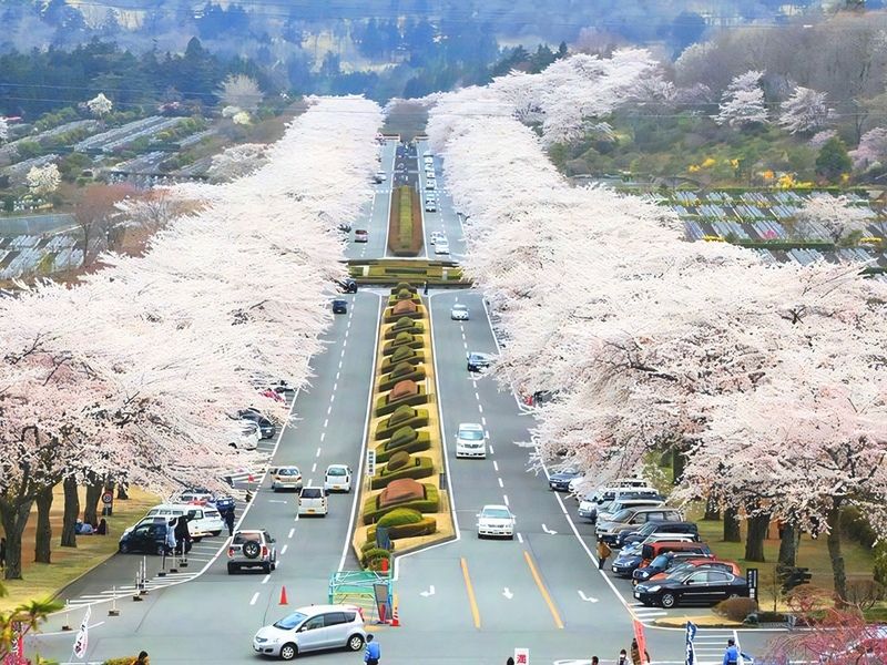 冨士霊園