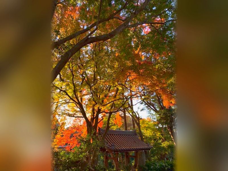 沙羅双樹の丘 能満寺墓苑