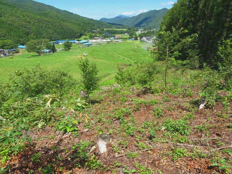 千年樹木葬・里山自然葬