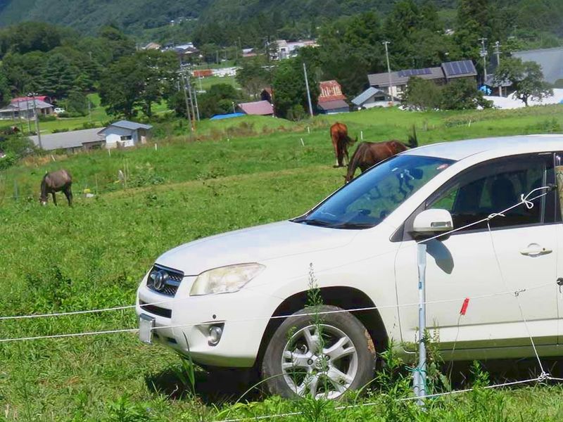 千年樹木葬・里山自然葬