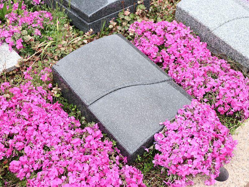 一宮さくら彩苑