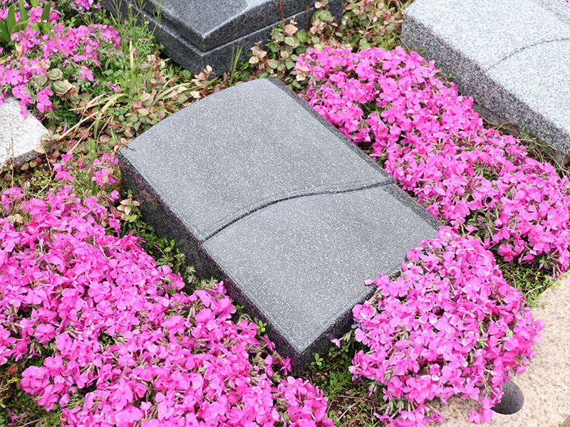 一宮さくら彩苑