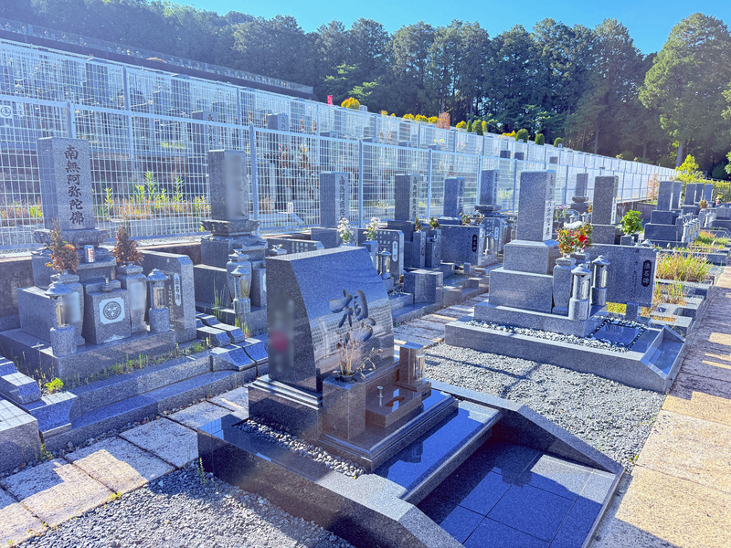 仏心霊園 一般墓・樹木葬