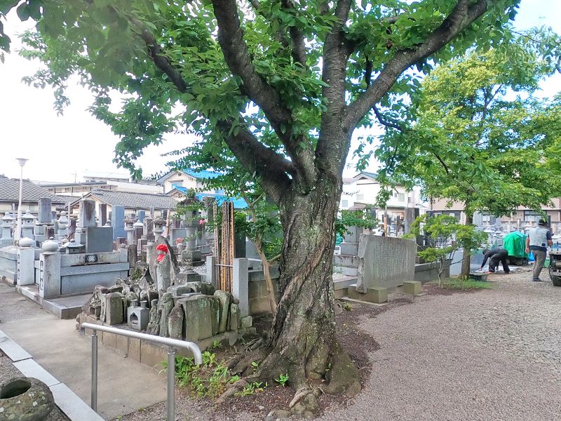 甲府よろこびの樹木葬 源光寺