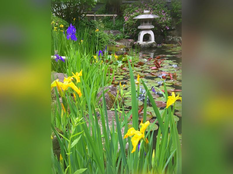 大安寺墓苑 永代供養付き墓地