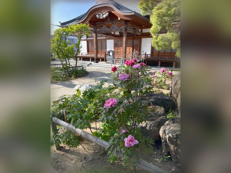 大安寺墓苑 永代供養付き墓地