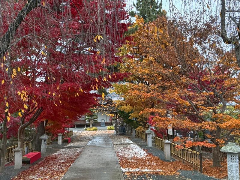 大安寺墓苑 永代供養付き墓地