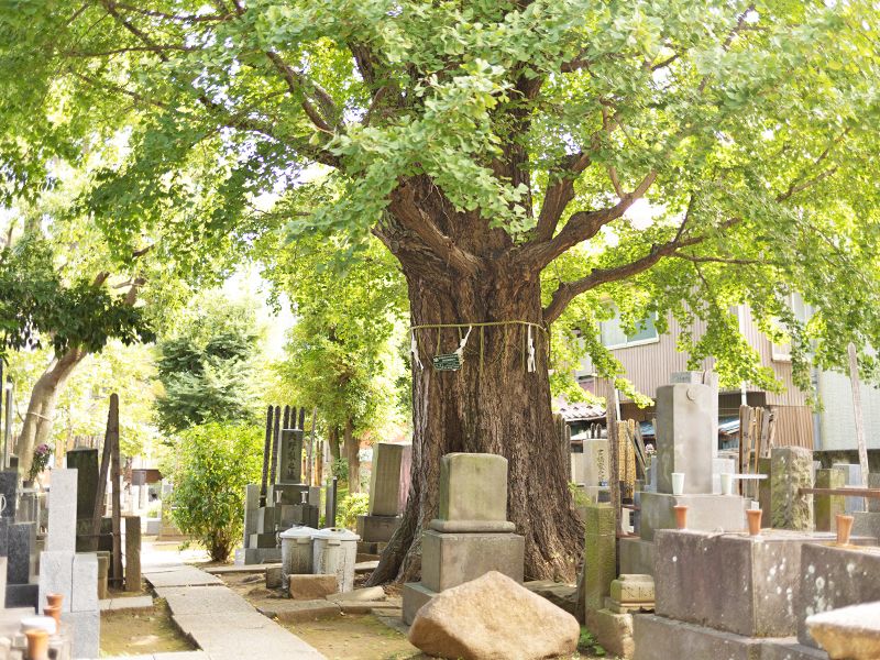 幸國寺